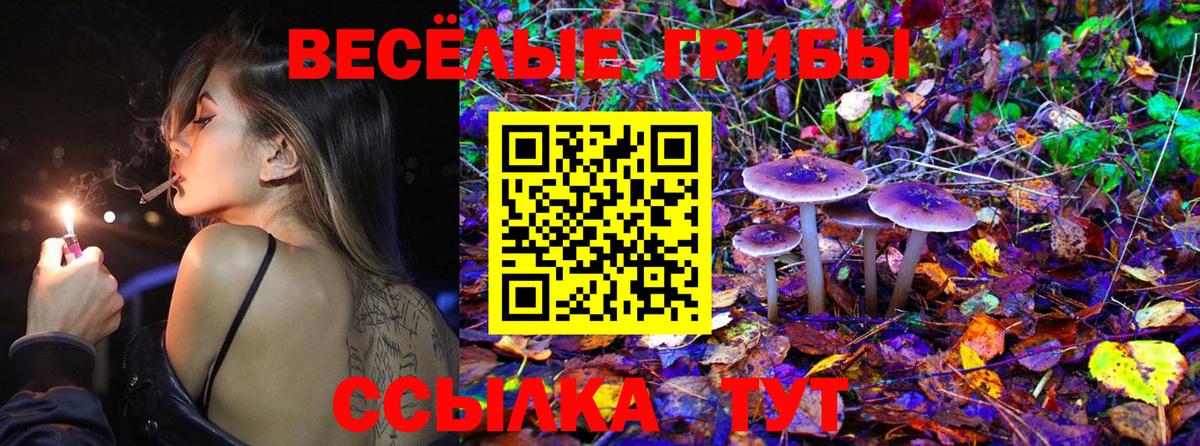 Галлюциногенные грибы MAGIC MUSHROOMS  Галлюциногенные грибы Cubensis  Вход с VPN  Дальнереченск 