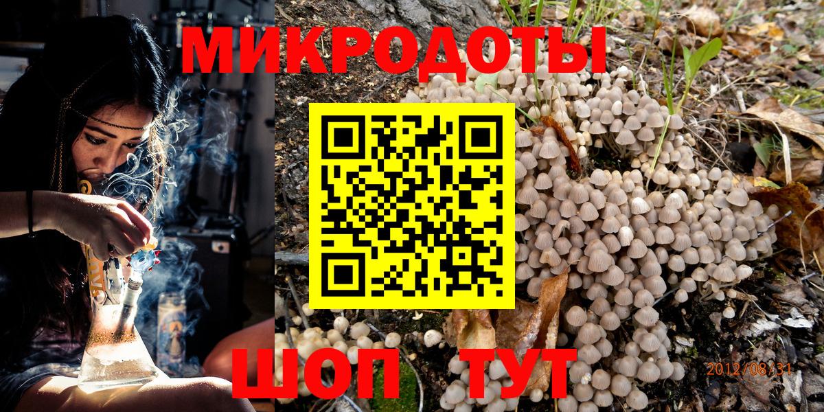 Псилоцибиновые грибы Cubensis Дальнереченск